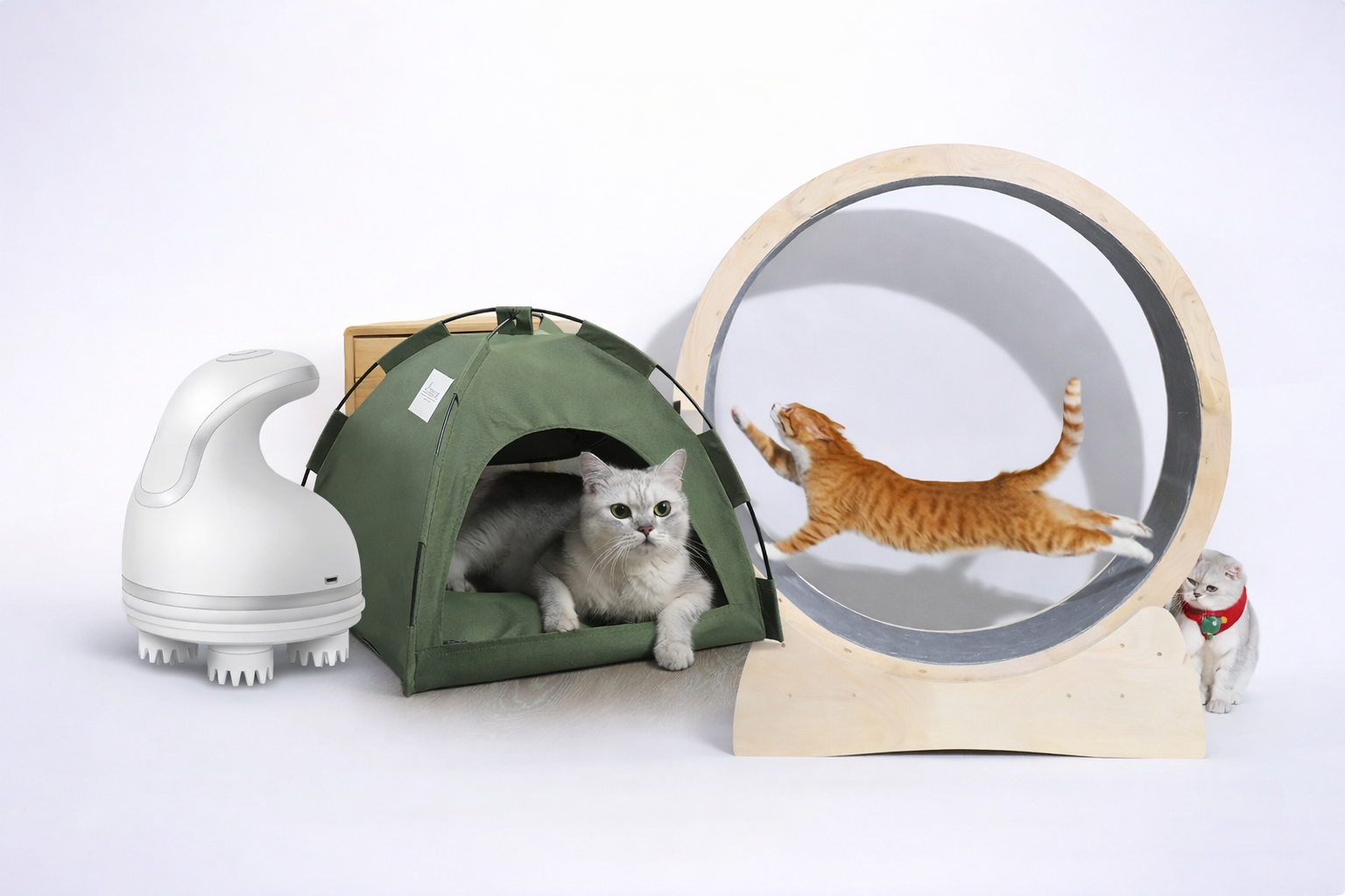 Premium Essentials for Every Pet