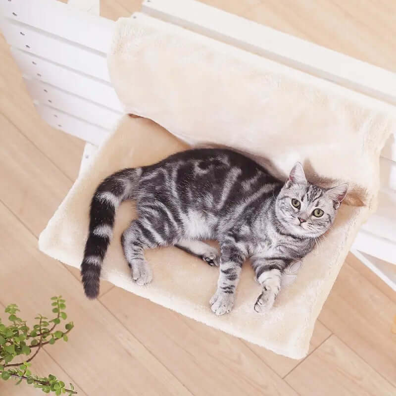 Cat bed cat hammock featuring a cozy plush design with a relaxed cat lounging comfortably on it.