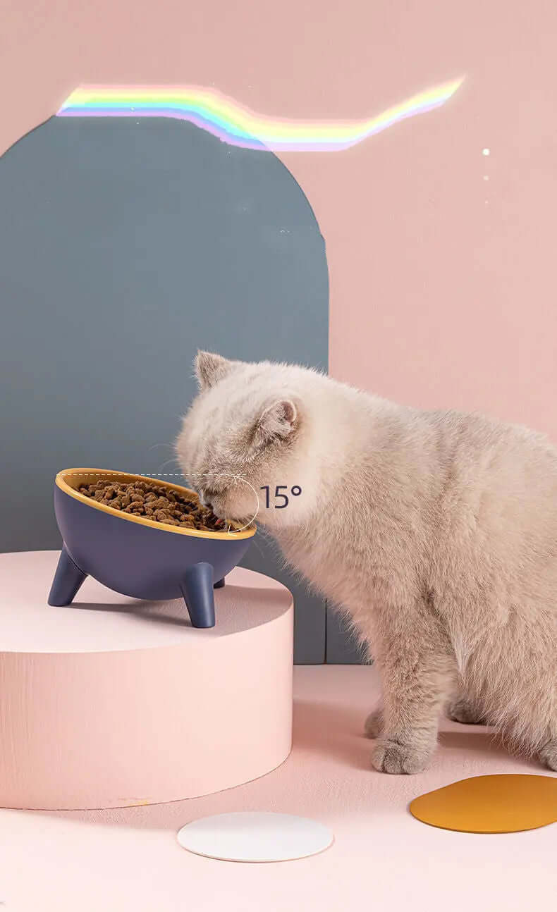 Cat Dog Bowl With Stand Pet Feeding Food Bowls Dogs Bunny Rabbit Nordic Color Feeder Product Supplies Pet Accessories with a cat eating.