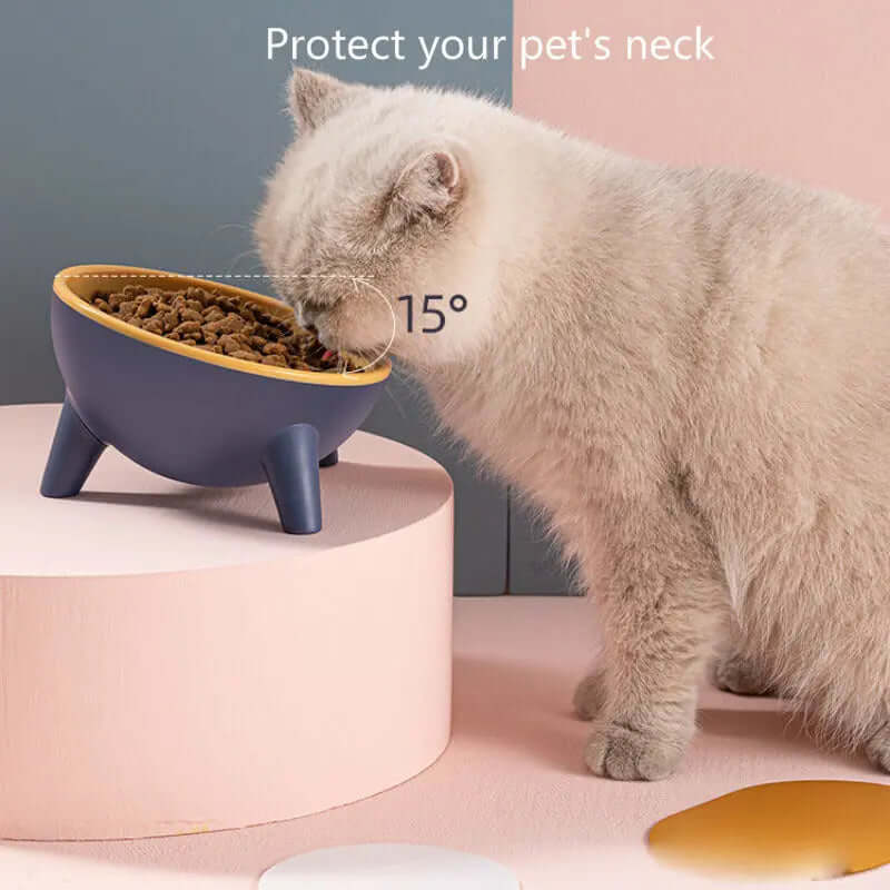 Cat Dog Bowl With Stand Pet Feeding Food Bowls Dogs Bunny Rabbit Nordic Color Feeder Product Supplies Pet Accessories with tilted design