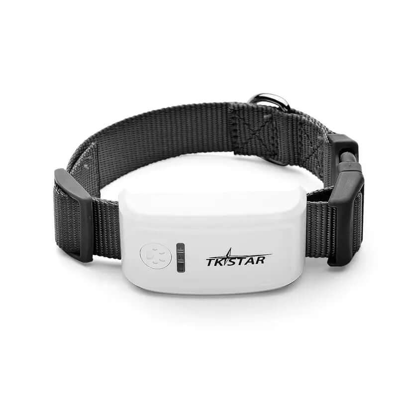 Cat GPS Tracker Locator Device for Pets on a black strap collar, designed for pet safety and tracking.