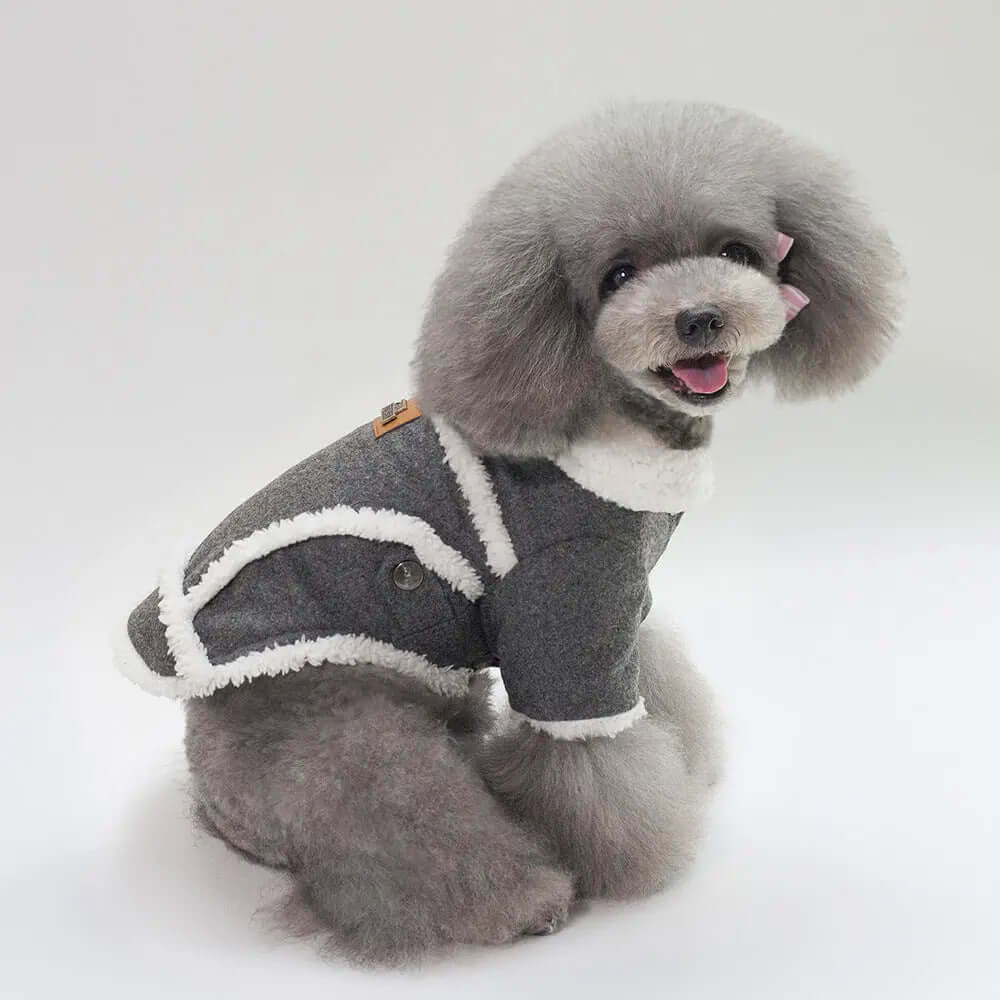 Dog Clothes Winter Pet Dog French Bulldog Jacket Thick Warm Dog Coat on a poodle wearing a stylish gray pet coat.