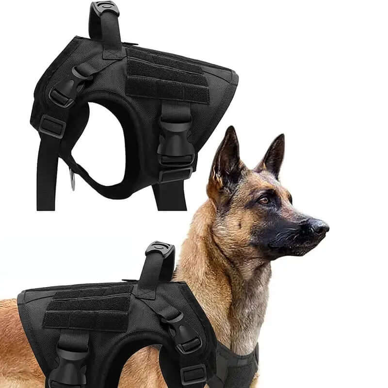 Vest Nylon Water Repellent Tactical Training German Shepherd chest strap Chest Strap Explosion-proof on a German Shepherd.