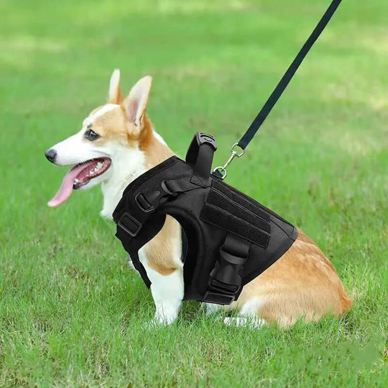 Vest Nylon Water Repellent Tactical Training German Shepherd chest strap Chest Strap Explosion-proof on a Corgi