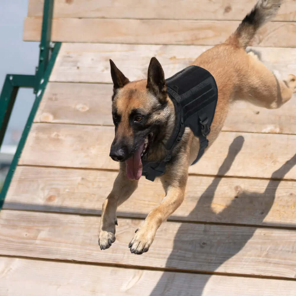 Vest Nylon Water Repellent Tactical Training German Shepherd chest strap Chest Strap Explosion-proof in action with a dog.