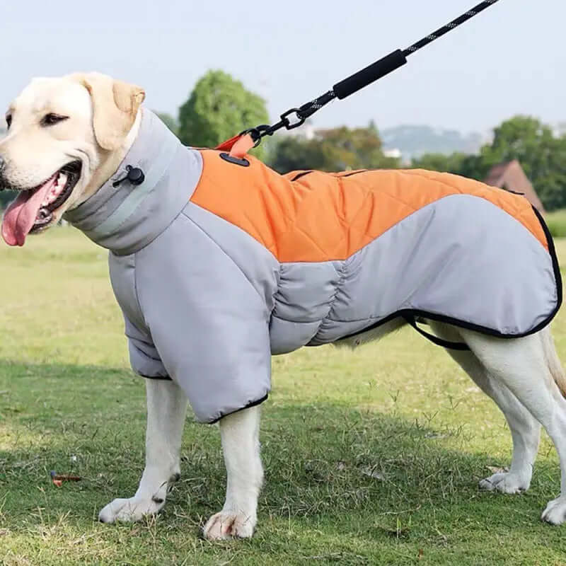 Winter Dog Coat Waterproof for Medium Large Dogs – Warm Dog Vest