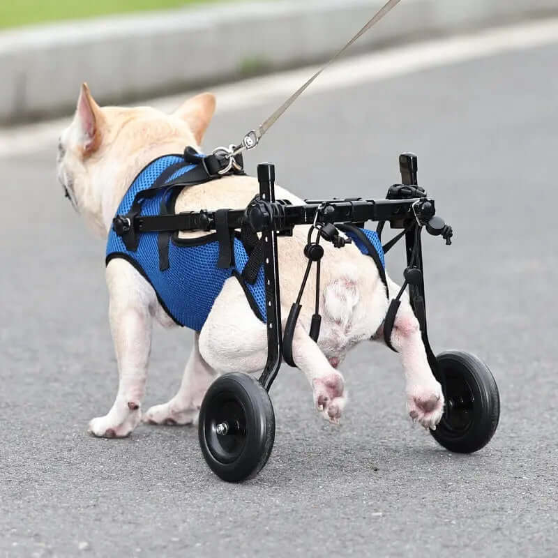 Pet Disabled Dog Wheelchair Scooter for injured dogs in blue, providing mobility and support for pets with disabilities.