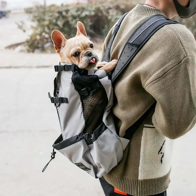 Pet Dog Carrier Backpack – Portable Travel Dog Backpack