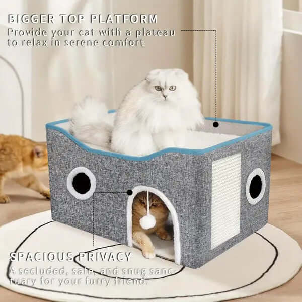 Super Wide Cat House For Indoor Cats, Amazon Logistics, And Wal Mart Platform with spacious design for comfort and play.